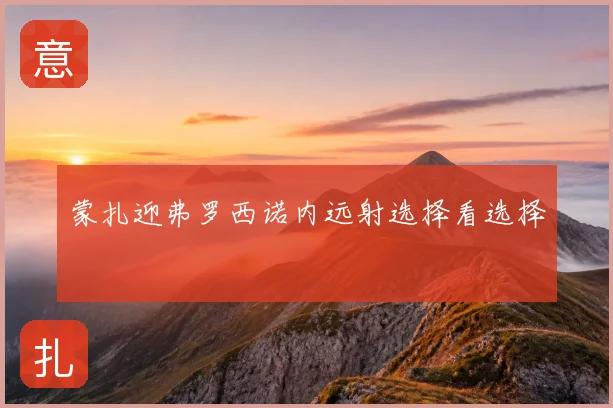 蒙扎迎弗罗西诺内远射选择看选择