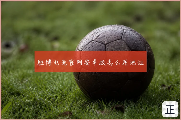 胜博电竞官网安卓版怎么用地址